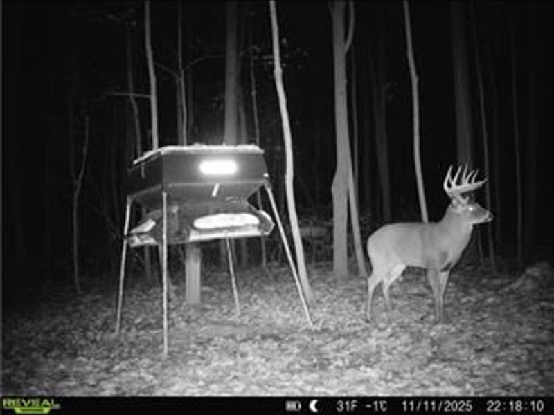 0 County Road 5, Zanesfield, OH 43360 Photo 91