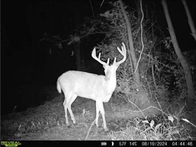 0 County Road 5, Zanesfield, OH 43360 Photo 93