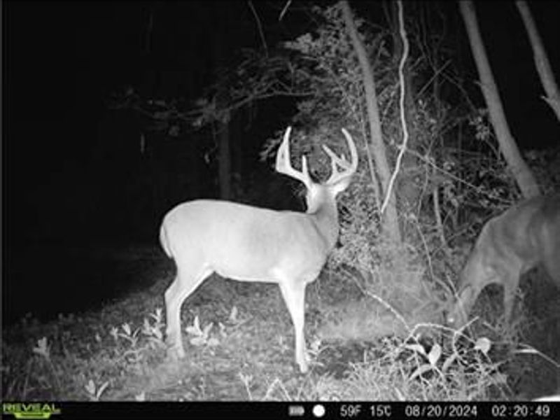 0 County Road 5, Zanesfield, OH 43360 Photo 96