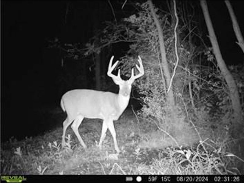 0 County Road 5, Zanesfield, OH 43360 Photo 97