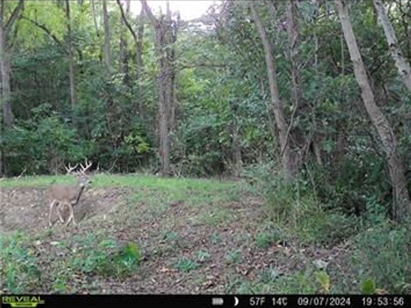 0 County Road 5, Zanesfield, OH 43360 Photo 98