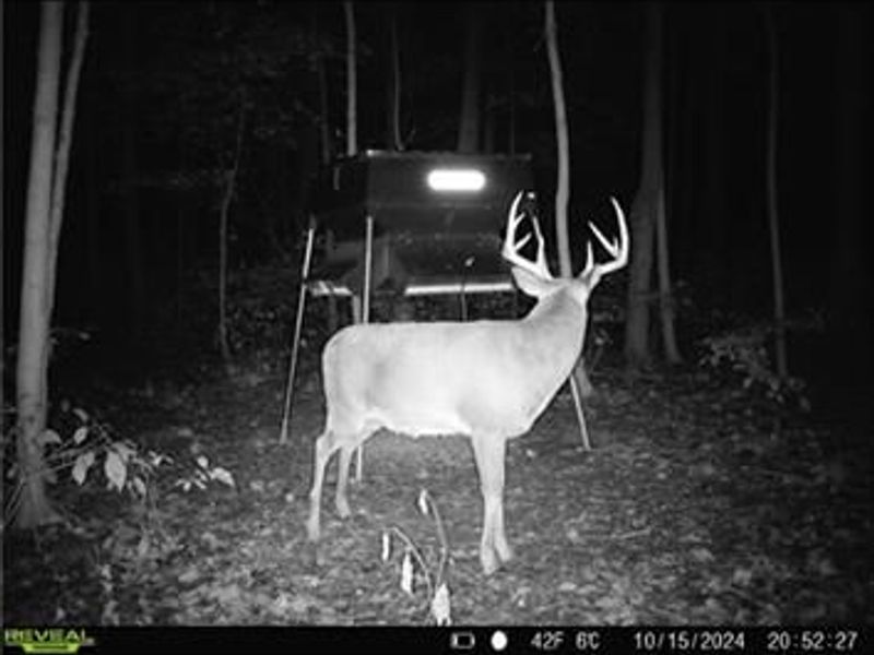 0 County Road 5, Zanesfield, OH 43360 Photo 99