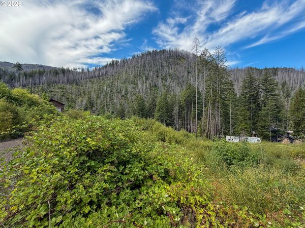 0 EVERGREEN LN, Idleyld Park, OR 97447
