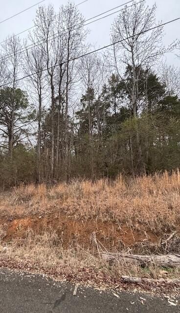 0 Sugar Tree Trail, Birchwood, TN 37308 Main Photo