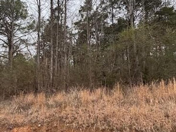 0 Sugar Tree Trail, Birchwood, TN 37308