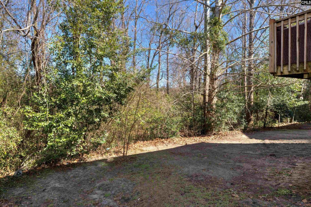 219 Luna Trail Photo 36