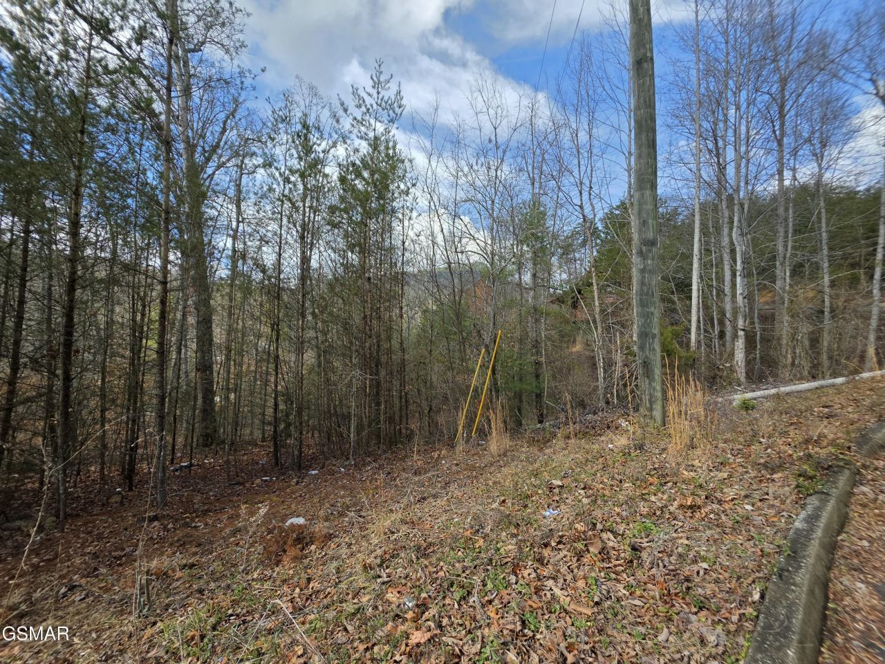 Lot 128 Bear Valley, Sevierville, TN 37876 Main Photo