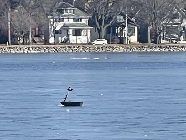 135 S BRITTINGHAM Place, Madison, WI 53715