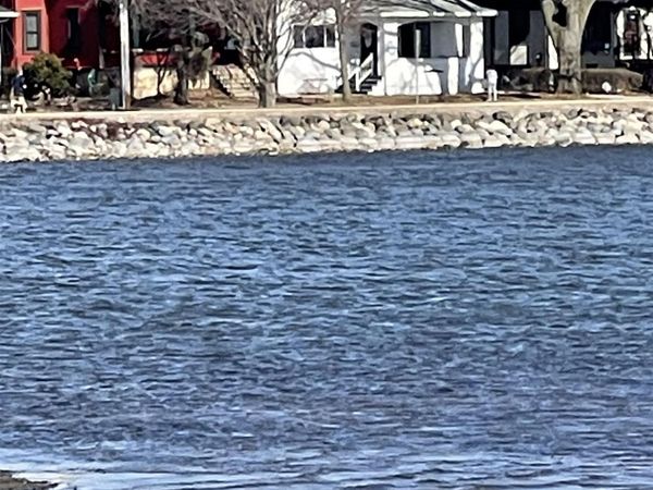 135 S BRITTINGHAM Place, Madison, WI 53715