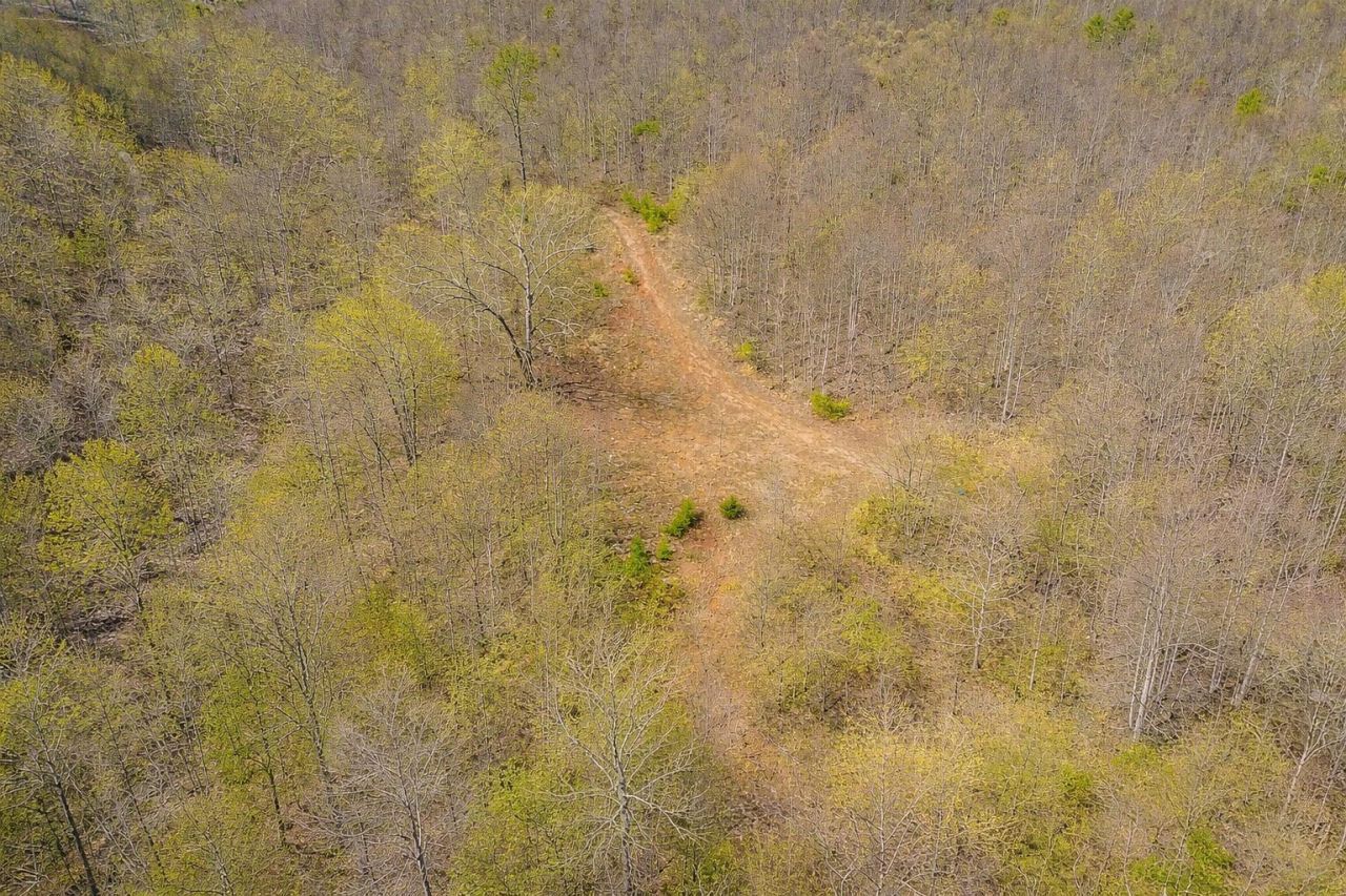 0 Mountain View Church Rd, Blue Ridge, VA 24064 Main Photo
