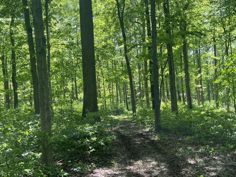 0 County Road 5, Zanesfield, OH 43360 Photo 100