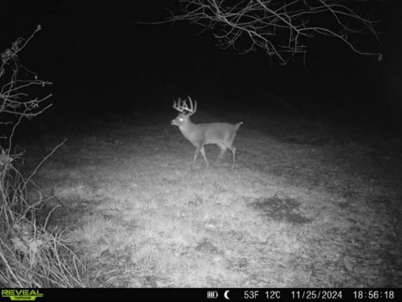 0 County Road 5 , Zanesfield, OH 43360 Photo 100