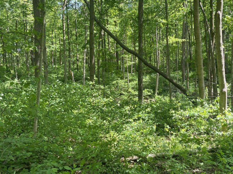 0 County Road 5, Zanesfield, OH 43360 Photo 101