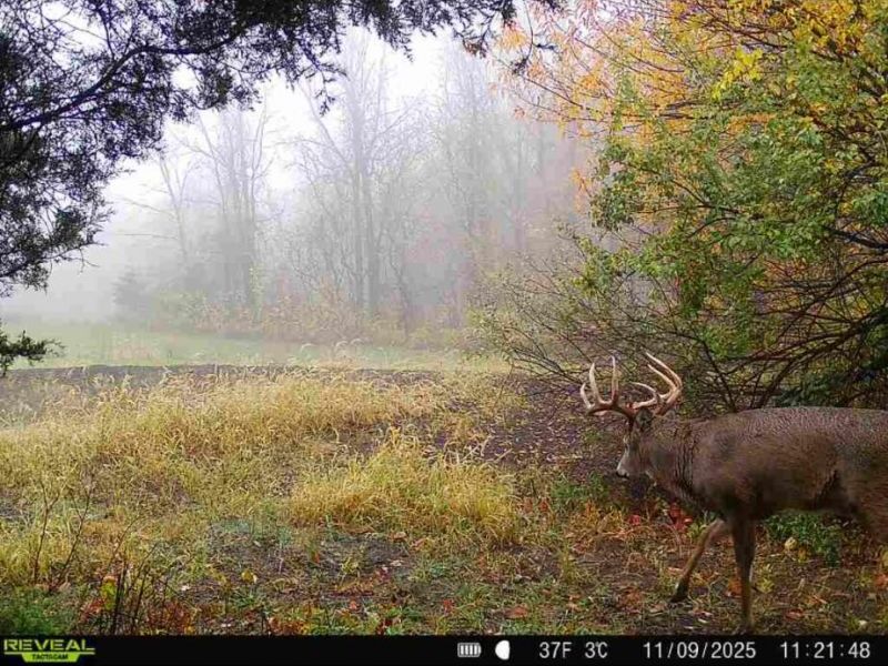 0 County Road 5 , Zanesfield, OH 43360 Photo 101