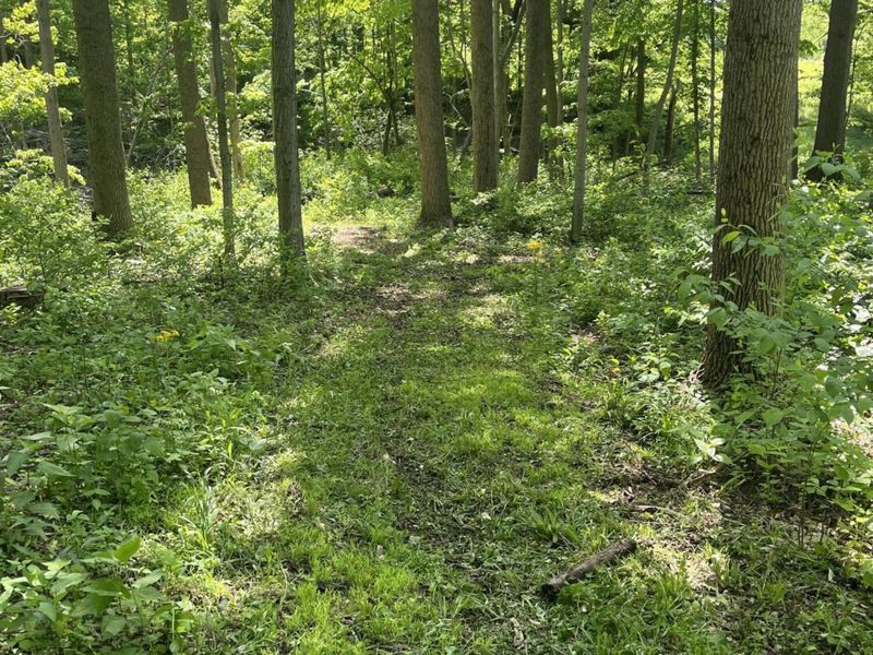 0 County Road 5, Zanesfield, OH 43360 Photo 103