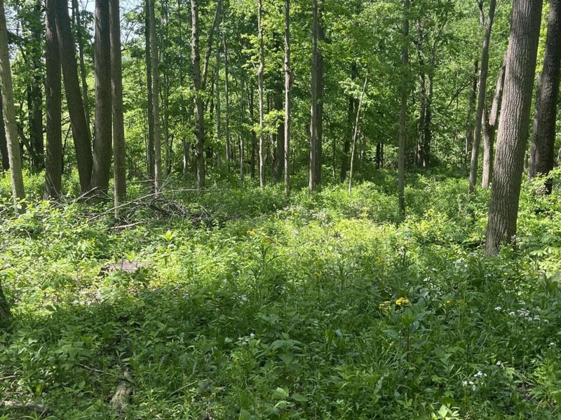0 County Road 5, Zanesfield, OH 43360 Photo 104
