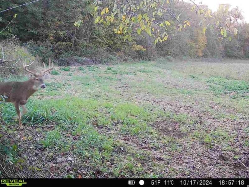 0 County Road 5 , Zanesfield, OH 43360 Photo 104