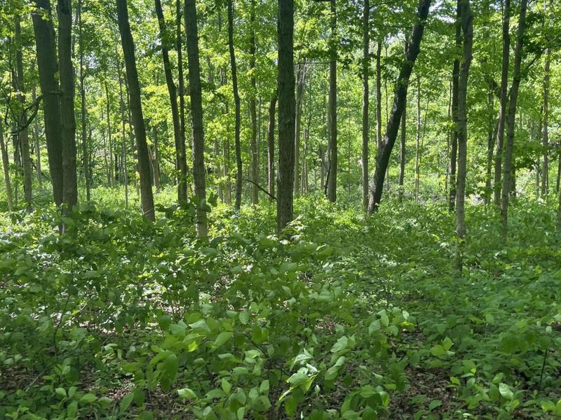 0 County Road 5, Zanesfield, OH 43360 Photo 105