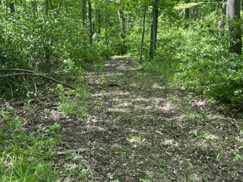 0 County Road 5, Zanesfield, OH 43360 Photo 106