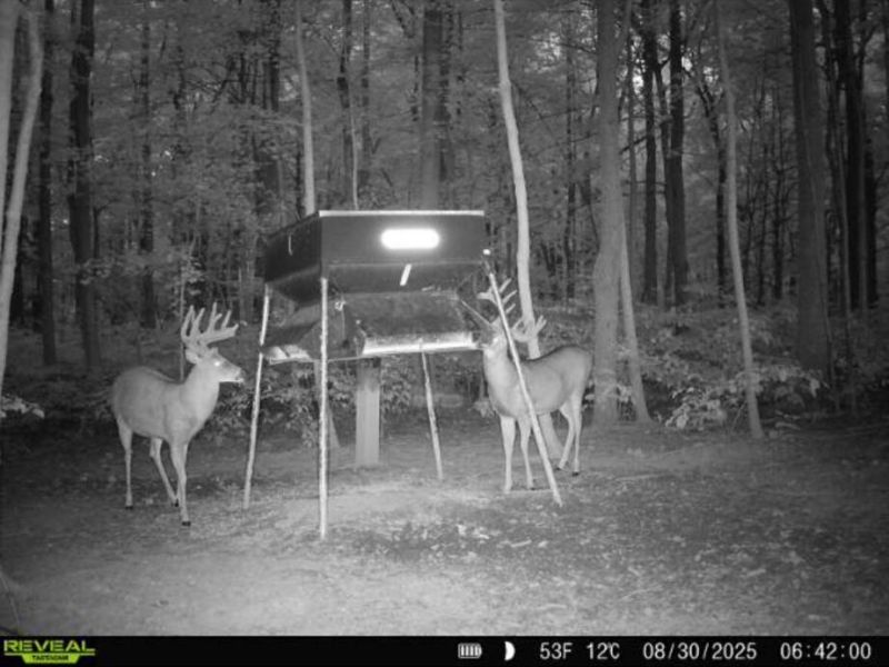 0 County Road 5 , Zanesfield, OH 43360 Photo 106