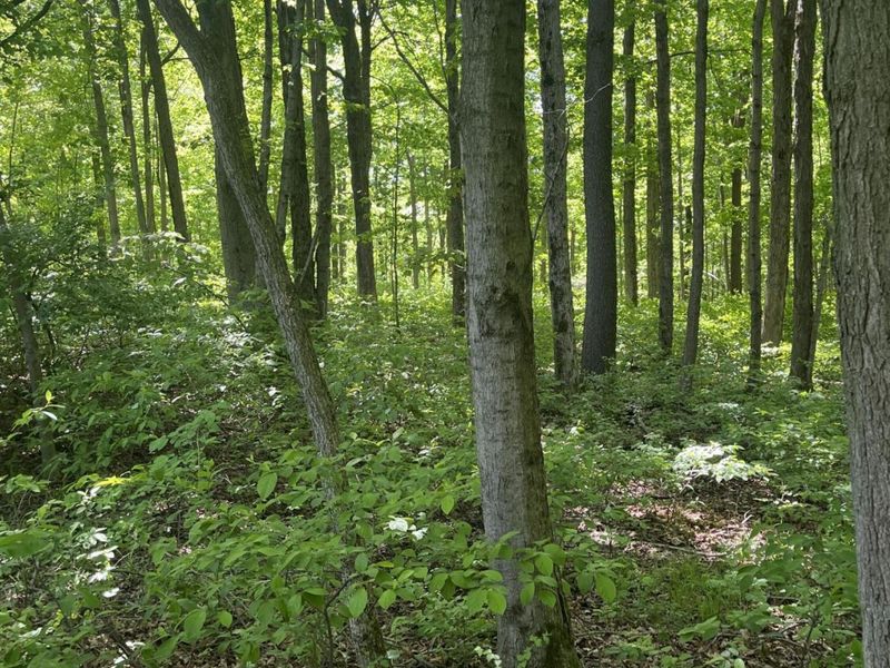 0 County Road 5, Zanesfield, OH 43360 Photo 108