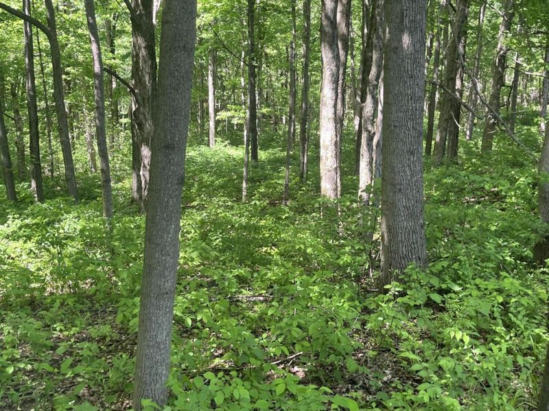 0 County Road 5, Zanesfield, OH 43360 Photo 109