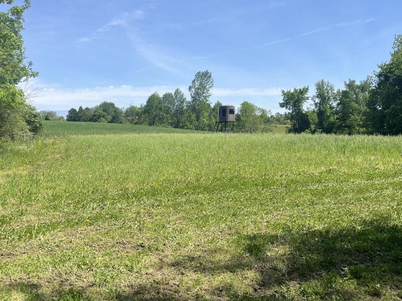 0 County Road 5, Zanesfield, OH 43360 Photo 110