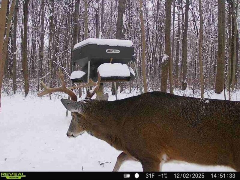 0 County Road 5 , Zanesfield, OH 43360 Photo 110