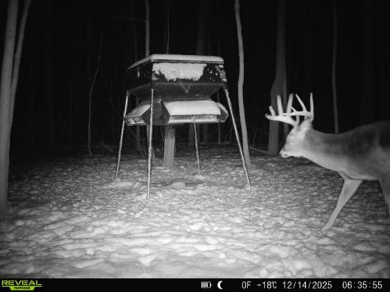 0 County Road 5 , Zanesfield, OH 43360 Photo 112