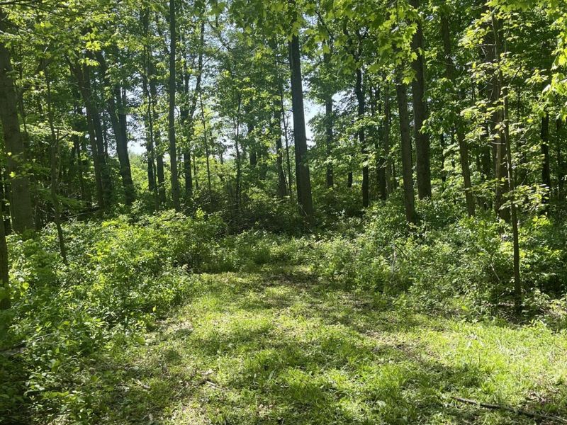 0 County Road 5, Zanesfield, OH 43360 Photo 114