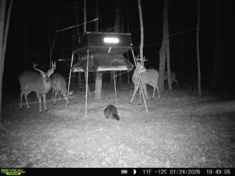 0 County Road 5 , Zanesfield, OH 43360 Photo 114