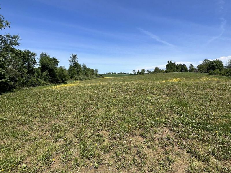 0 County Road 5, Zanesfield, OH 43360 Photo 115