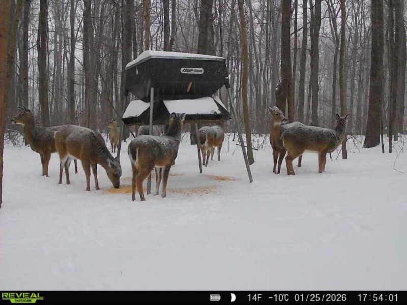 0 County Road 5 , Zanesfield, OH 43360 Photo 115