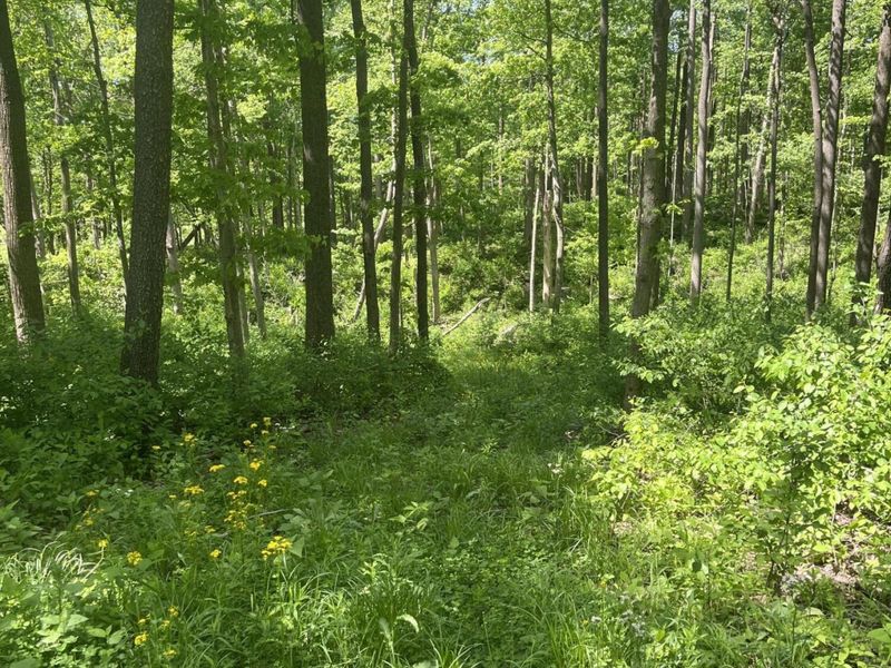 0 County Road 5, Zanesfield, OH 43360 Photo 116