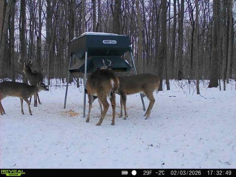 0 County Road 5 , Zanesfield, OH 43360 Photo 116