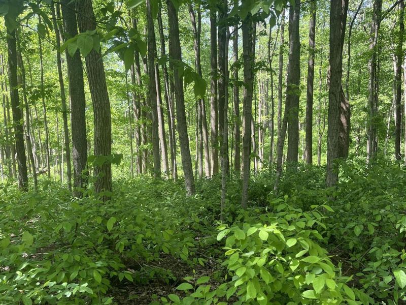 0 County Road 5, Zanesfield, OH 43360 Photo 117
