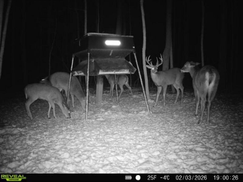 0 County Road 5 , Zanesfield, OH 43360 Photo 117