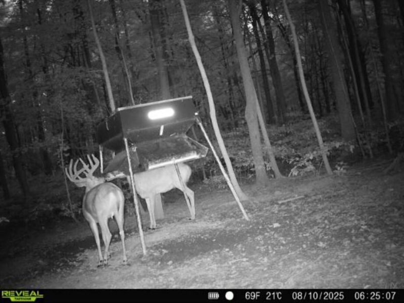 0 County Road 5 , Zanesfield, OH 43360 Photo 118