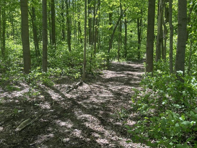 0 County Road 5, Zanesfield, OH 43360 Photo 119