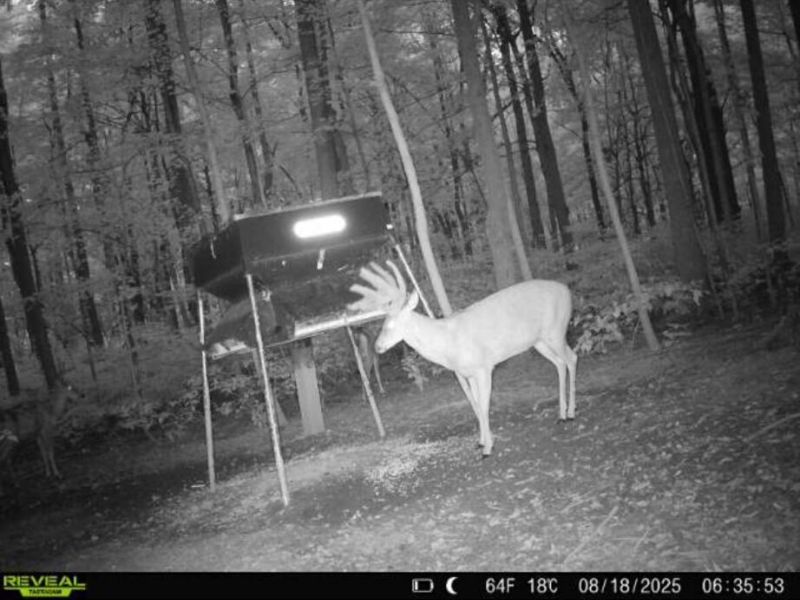 0 County Road 5 , Zanesfield, OH 43360 Photo 119