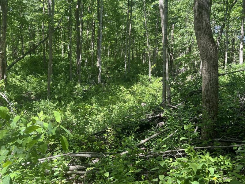 0 County Road 5, Zanesfield, OH 43360 Photo 120