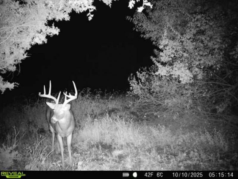 0 County Road 5 , Zanesfield, OH 43360 Photo 121