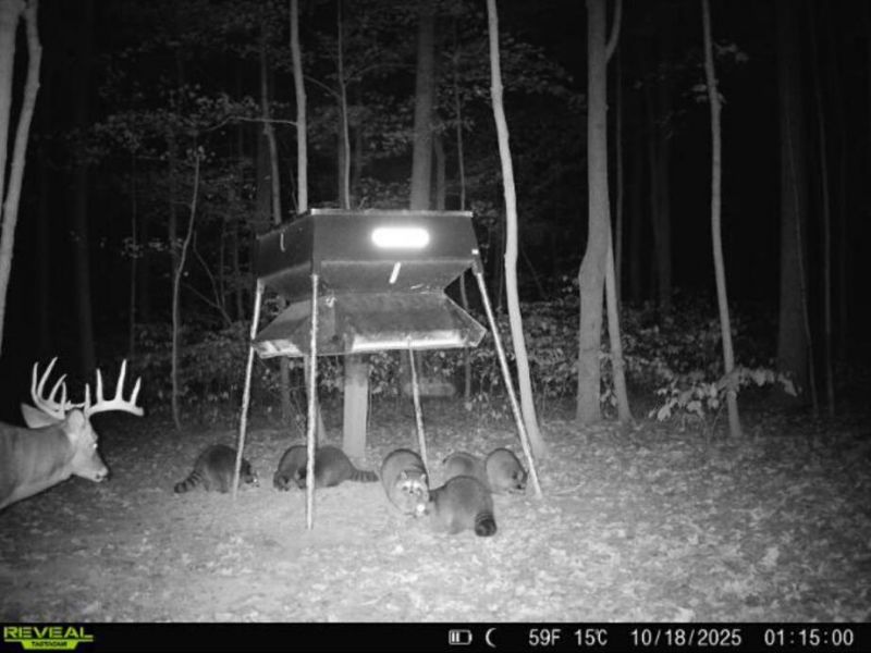 0 County Road 5 , Zanesfield, OH 43360 Photo 122