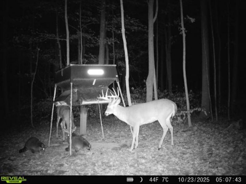 0 County Road 5 , Zanesfield, OH 43360 Photo 123