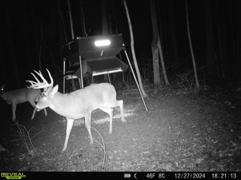 0 County Road 5 , Zanesfield, OH 43360 Photo 125