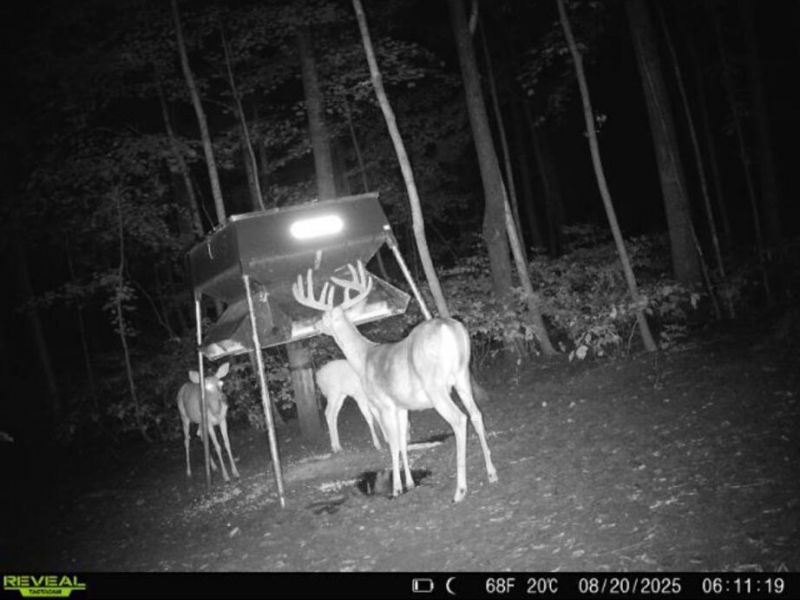 0 County Road 5 , Zanesfield, OH 43360 Photo 126