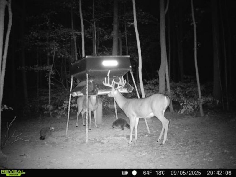 0 County Road 5 , Zanesfield, OH 43360 Photo 128