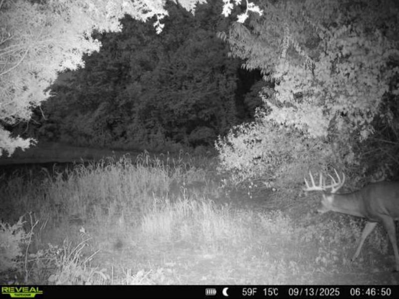 0 County Road 5 , Zanesfield, OH 43360 Photo 129