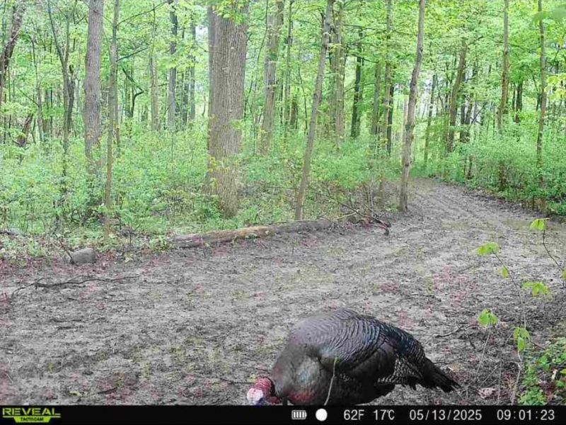 0 County Road 5, Zanesfield, OH 43360 Photo 13