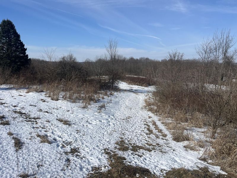 0 County Road 5 , Zanesfield, OH 43360 Photo 13